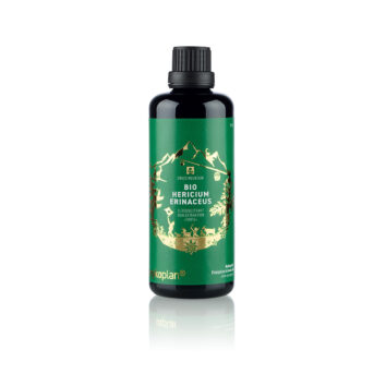 Bio Hericium erinaceus Flüssigextrakt Dualextraktion «Forte»